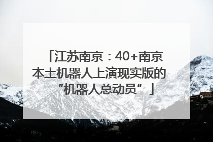 江苏南京：40+南京本土机器人上演现实版的“机器人总动员”